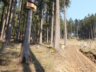 Budka k ochraně netopýrů 