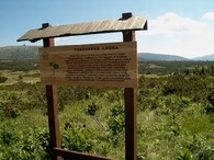 Pančavské rašeliniště