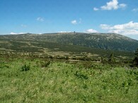 Pančavské rašeliniště