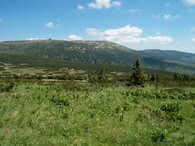 Pančavské rašeliniště