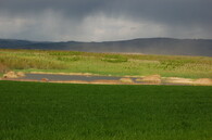 Revitalizace dolu Nástup Tušimice