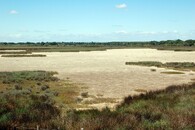 Camargue, Franice