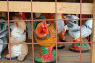 Keramická slepice v kleci