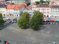 Lípy na litoměřickém náměstí