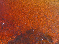 Pohořský potok v Novohradských horách