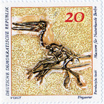 Kostra ptakoještěra Pterodactylus kochi.