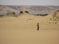 Vegetační pahrbky zvané agúly v egyptské Západní poušti