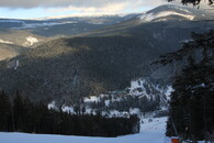 Ptačinec v západních Krkonoších