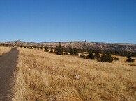 Pančavská louka v Krkonoších