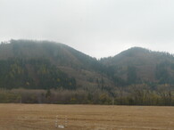 Slovenské hospodářské lesy