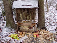 Přikrmování zvěře