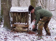 Přikrmování zvěře