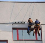 Rorýsovník na budově MŽP.