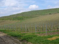 Pouzdřanské terasy