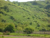 Svah směrem k Pouzdřanům