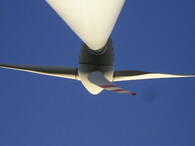 Neusiedl an der Zaya