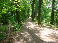 Alej u rybníka Kolečko v Tovačově 