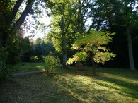 arboretum Americká zahrada