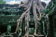 Angkor
