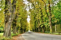 Kaštanová alej Slatiňany