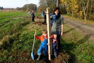 Výsadba stromů Stromy místo letáků