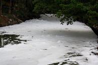 přítok jezera Bellandur