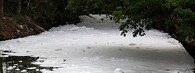 přítok jezera Bellandur