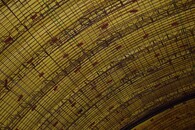 Ražba tunelu Blanka