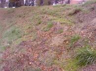 eroze trávníku po sekačce