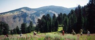 Turisté v Bridger-Teton National Forest