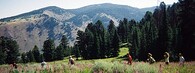 Turisté v Bridger-Teton National Forest