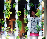 Vertikální zahrada