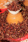 Chapulines