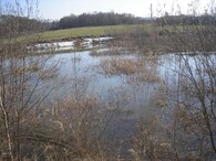 Chmeliště na Kutnohorsku