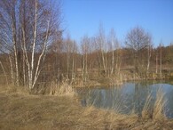 Chmeliště na Kutnohorsku