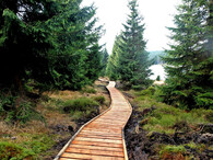 haťový chodník Bedřichov