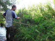 kosení bolševníku velkolepého