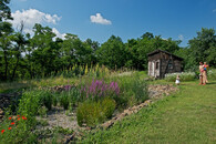 kořenová čistírna