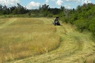 Sečení louky v NP Podyjí