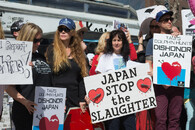 protest proti zabíjení delfínů