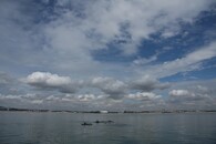 Delfíni skákaví v ústí řeky Sado