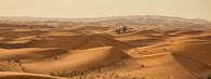 Sahara
