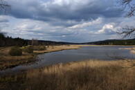 Dolejší Padrťský rybník