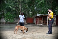 Hana Böhme a pes Doli