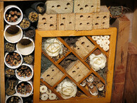 Stanoviště pro včelky samotářky