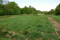 kořenová čistírna odpadních vod Hostětín 2009