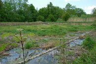 kořenová čistírna odpadních vod Hostětín 2009