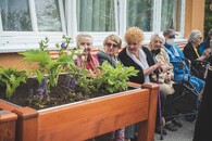 mobiliář s z vánočního stromu