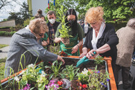 mobiliář s z vánočního stromu