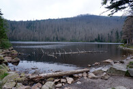 Čertovo jezero na Šumavě